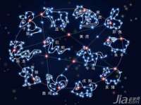 上海成弘旺网络科技有限公司