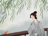 上海成弘旺网络科技有限公司