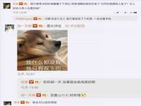 上海成弘旺网络科技有限公司