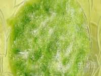 上海成弘旺网络科技有限公司