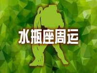 上海成弘旺网络科技有限公司