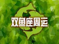 上海成弘旺网络科技有限公司