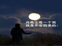 上海成弘旺网络科技有限公司