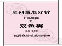 上海成弘旺网络科技有限公司