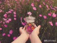上海成弘旺网络科技有限公司