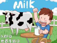 上海成弘旺网络科技有限公司