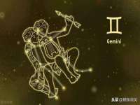 上海成弘旺网络科技有限公司