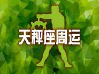 上海成弘旺网络科技有限公司