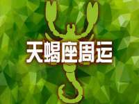 上海成弘旺网络科技有限公司