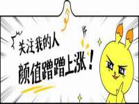 上海成弘旺网络科技有限公司
