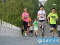 上海成弘旺网络科技有限公司