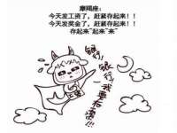 上海成弘旺网络科技有限公司