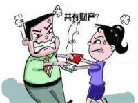 上海成弘旺网络科技有限公司