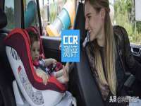 上海成弘旺网络科技有限公司