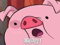 上海成弘旺网络科技有限公司