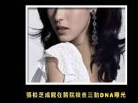 上海成弘旺网络科技有限公司