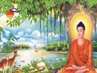 上海成弘旺网络科技有限公司