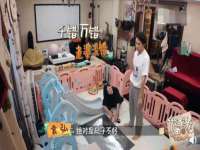 上海成弘旺网络科技有限公司