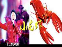 上海成弘旺网络科技有限公司
