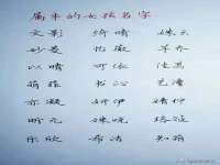 上海成弘旺网络科技有限公司