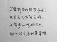 上海成弘旺网络科技有限公司