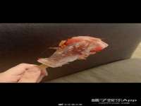 上海成弘旺网络科技有限公司